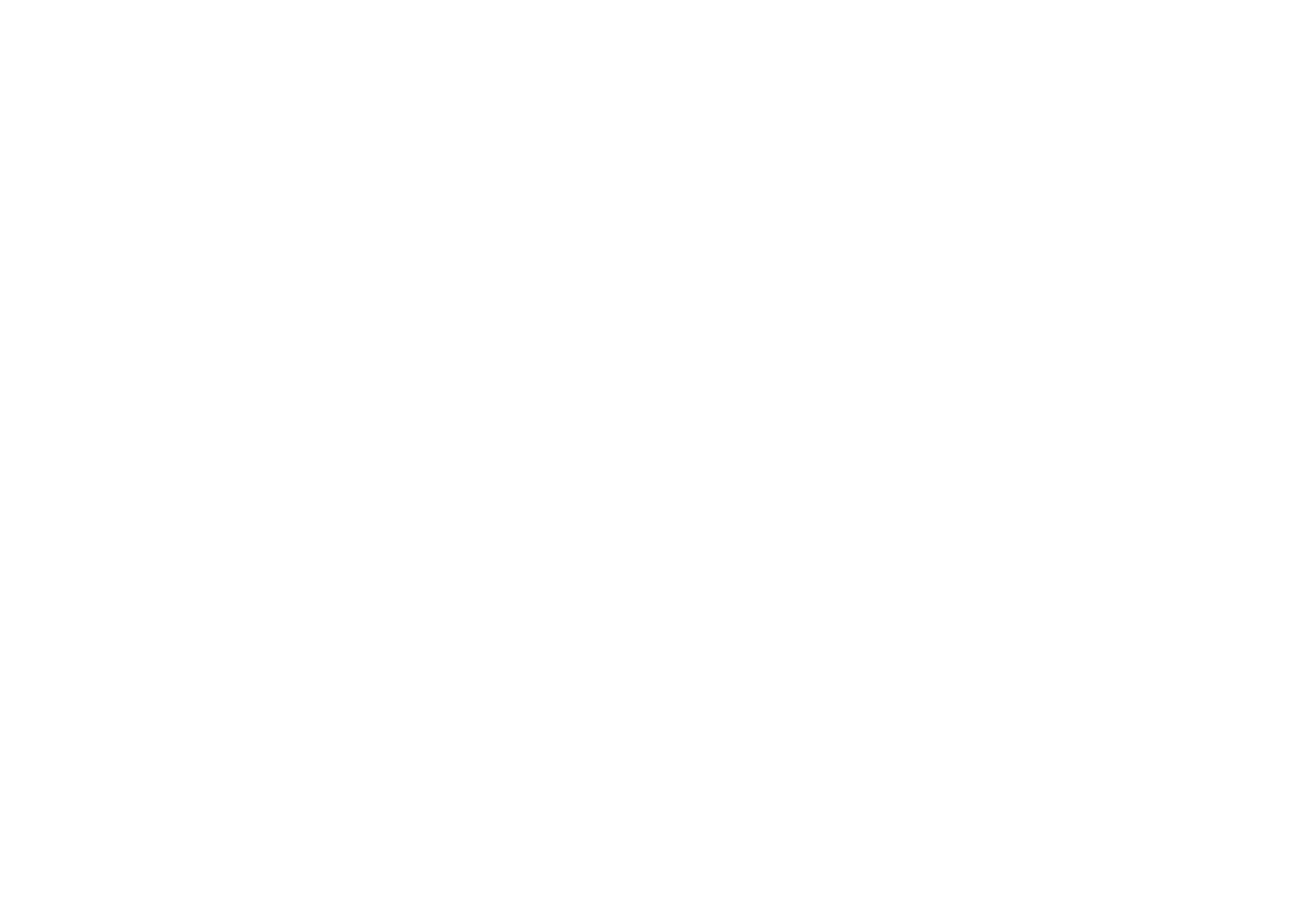 lgos multimarca_andacollo