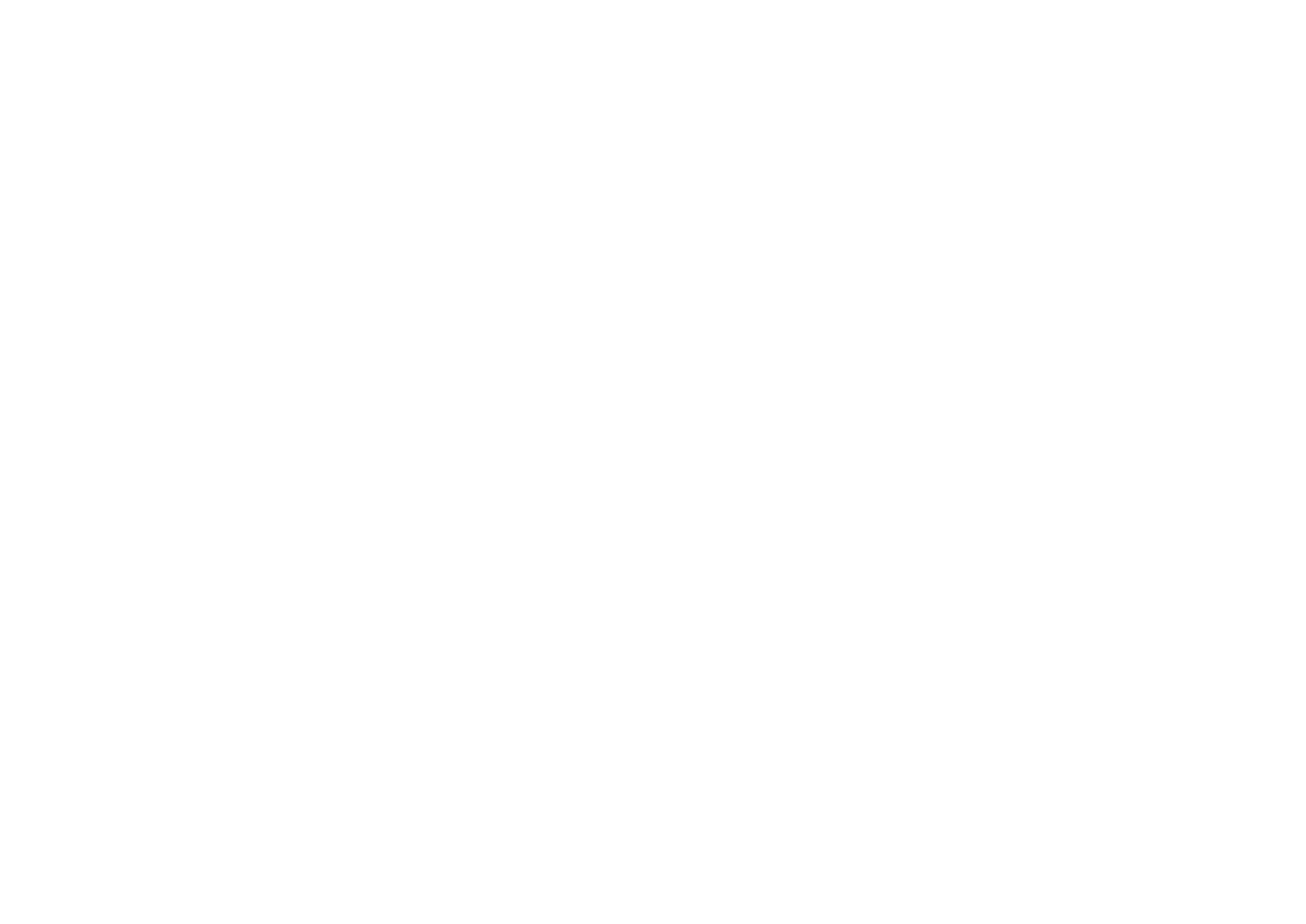 lgos multimarca_la serena