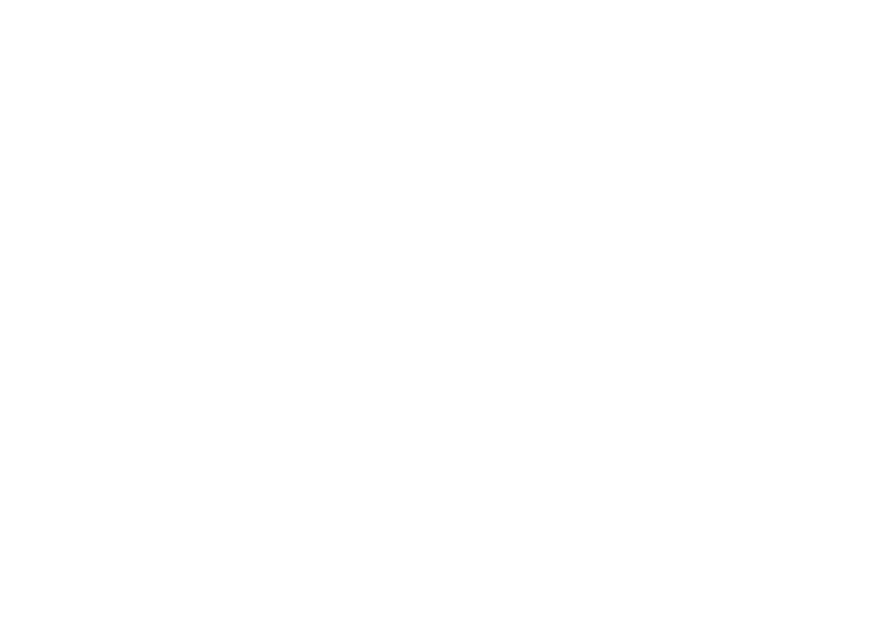 lgos multimarca_madero