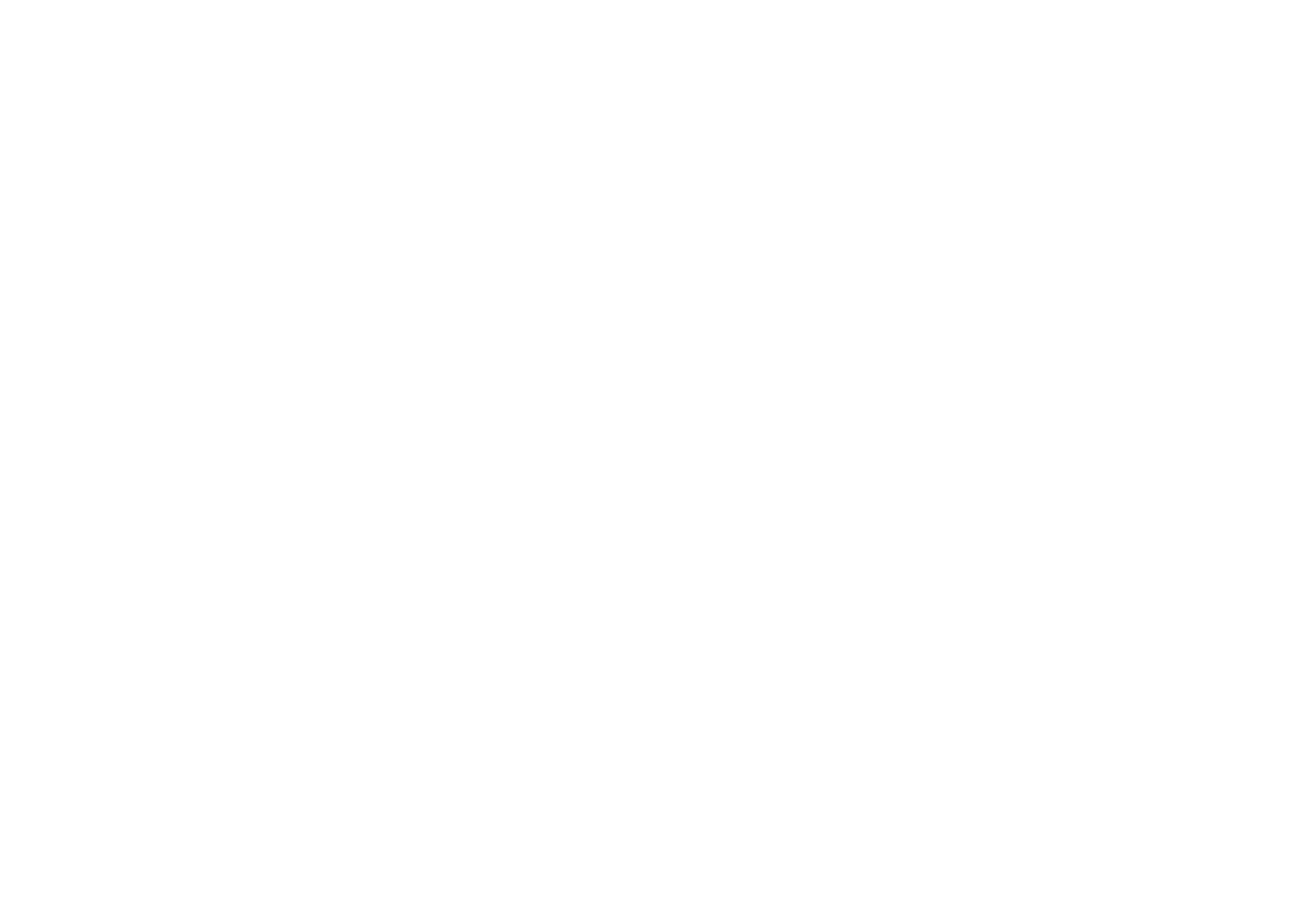 lgos multimarca_mincap