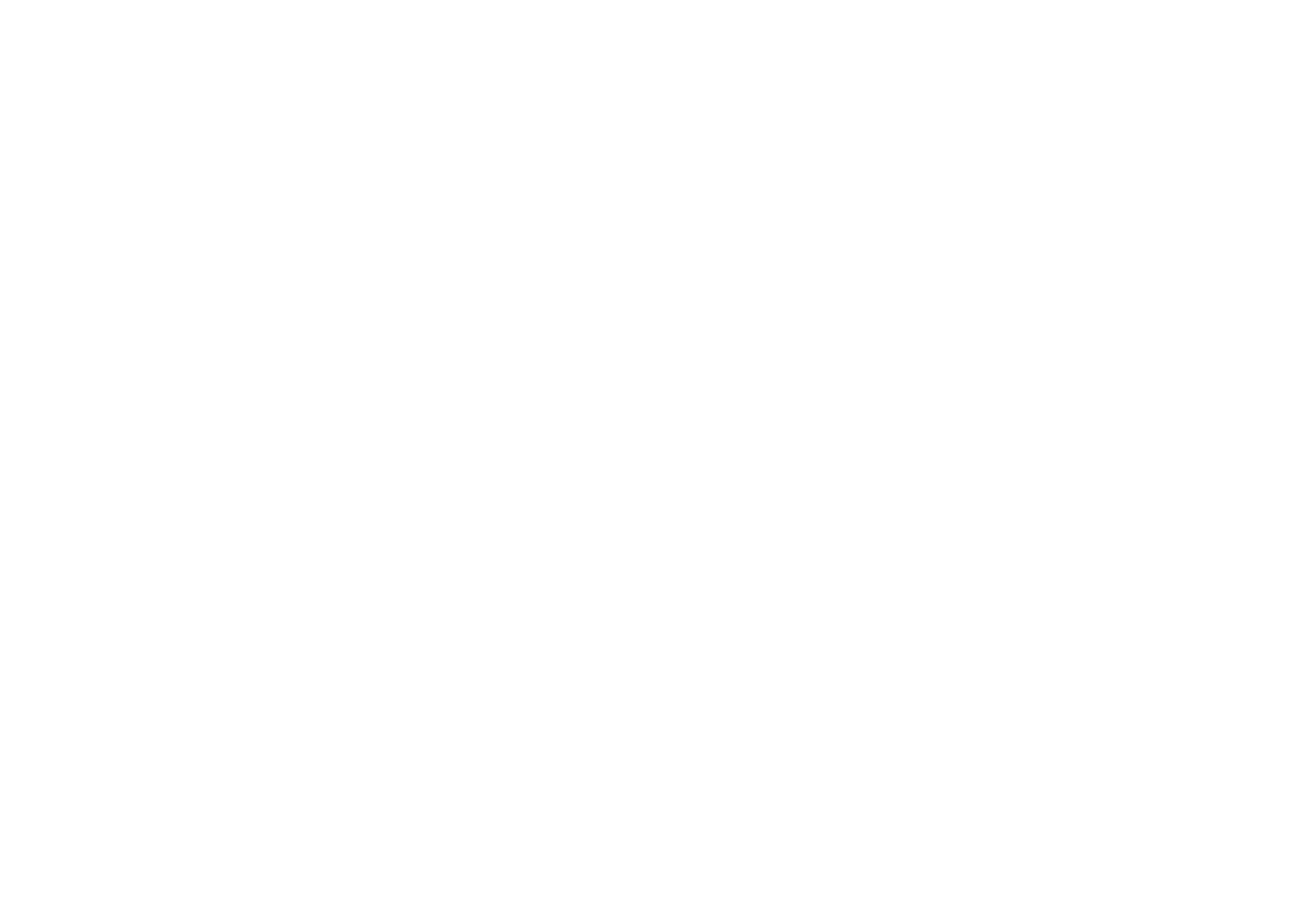 lgos multimarca_vicuña